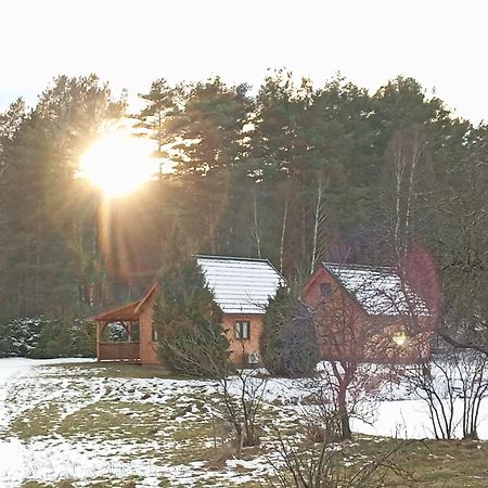 Wczasy Na Kaszubach Villa Gorki  Eksteriør billede
